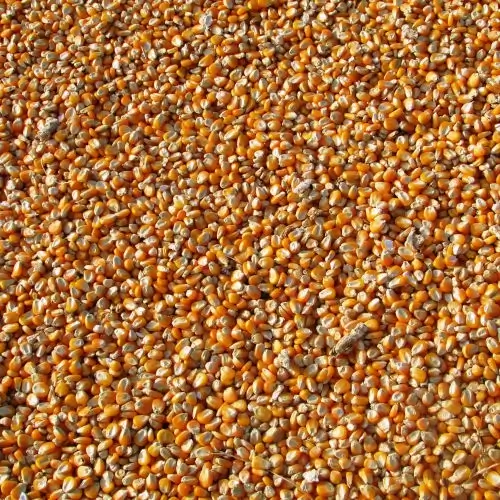 Cereals